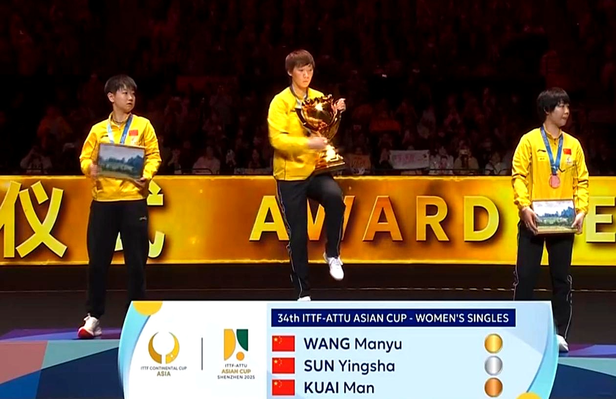 包含亚洲最佳球员在国际比赛中闪耀光芒的词条