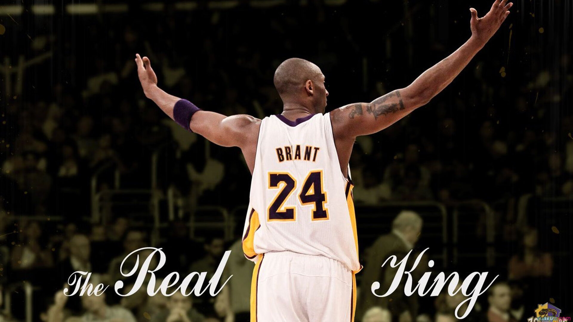 从活塞到世界之巅，文班亚马的淘汰赛哲学与全球接管